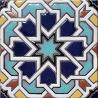 Hand-Painted Tile