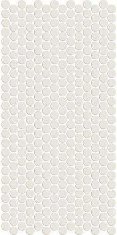 Arctic White